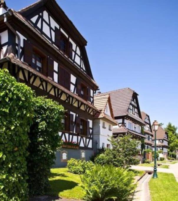 Au Petit Nid De Seebach Exterior photo